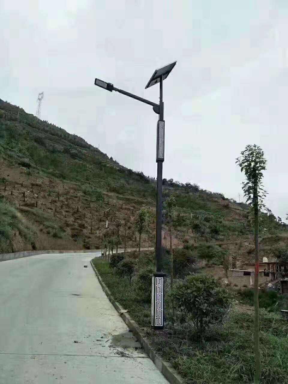 武清区仿古太阳能路灯